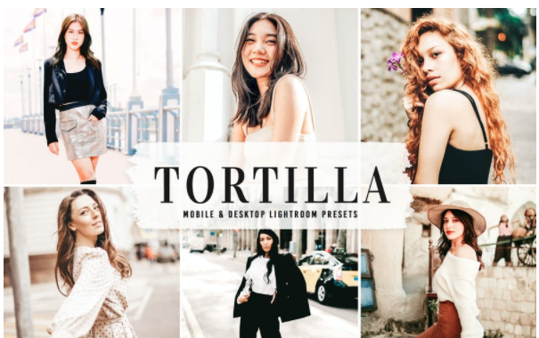 [Elements.Envato] Tortilla Mobile & Desktop Lightr_0.png